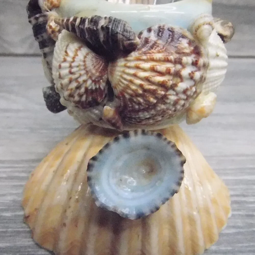 Nautical Coastal Kitchen Decor Seashell Toothpick Holder Basket Wishing Well